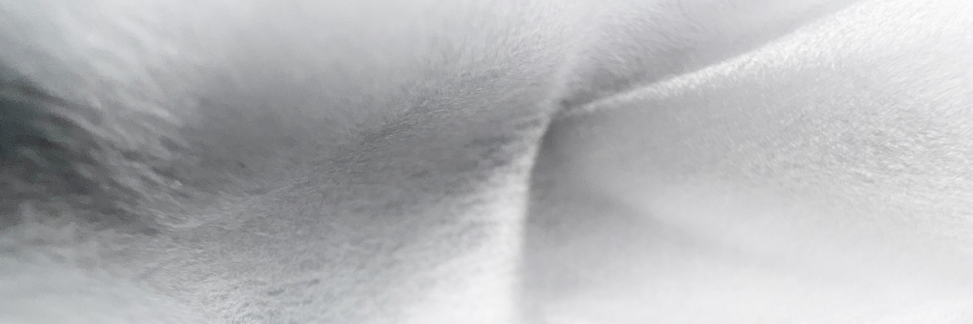 Elastic Fiber Film